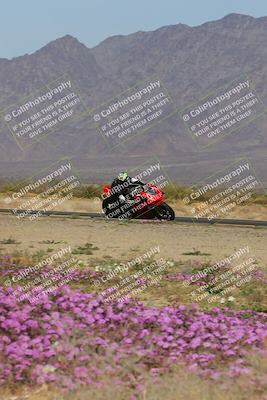 media/Feb-04-2023-SoCal Trackdays (Sat) [[8a776bf2c3]]/Turn 15 Inside Blooming (1050am)/